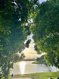 ไปให้อาหารปลากัน @บึงหนองบอน กทม 🌇🐟