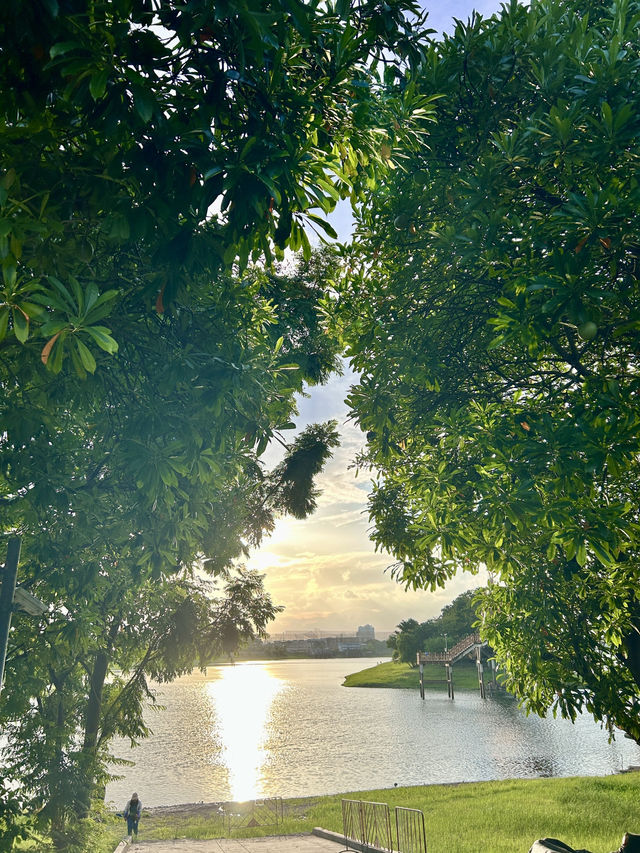 ไปให้อาหารปลากัน @บึงหนองบอน กทม 🌇🐟
