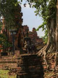 【アユタヤ🇹🇭】タイの歴史を感じる1日