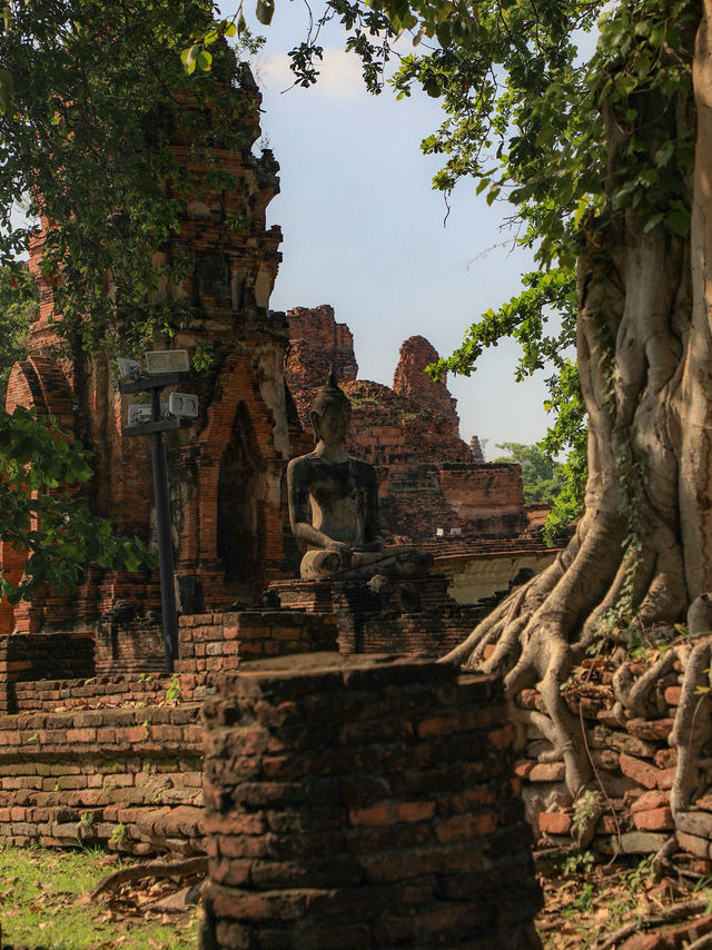 【アユタヤ🇹🇭】タイの歴史を感じる1日