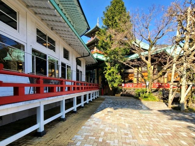 후지야호텔(富士屋ホテル) 라운지(ラウンジ) 12時限定 アフタヌーンティーセット(정오의 애프터눈티)