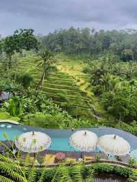 Tis Cafe: Must-Visit in Tegallalang