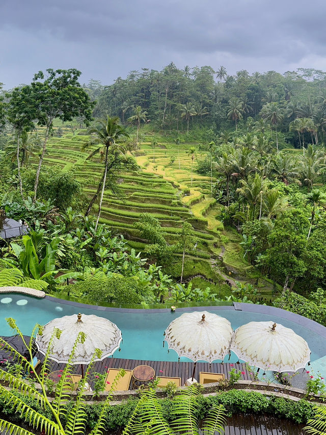 Tis Cafe: Must-Visit in Tegallalang