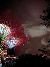 Gardens By the Bay ชมต้นไม้ยักษ์ โชว์แสงสีเสียง 