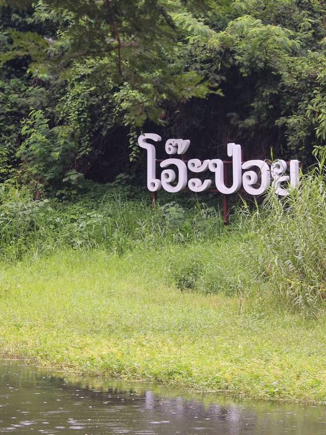ตลาดโอ๊ะป่อย  (จ.ราชบุรี) 