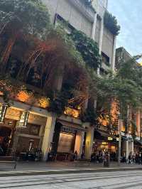 漫步雪梨市中心：新舊交融的城市心跳