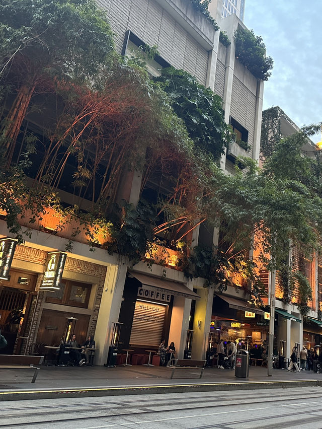 漫步雪梨市中心：新舊交融的城市心跳