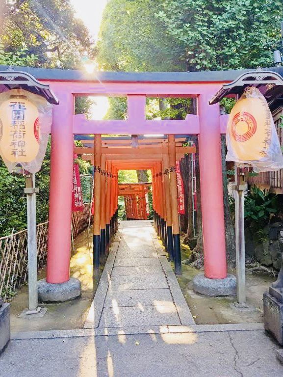 Ueno Park: A Cultural Stroll Through Tokyo’s Green Heart