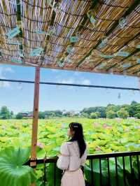 Ueno Park: A Cultural Stroll Through Tokyo’s Green Heart