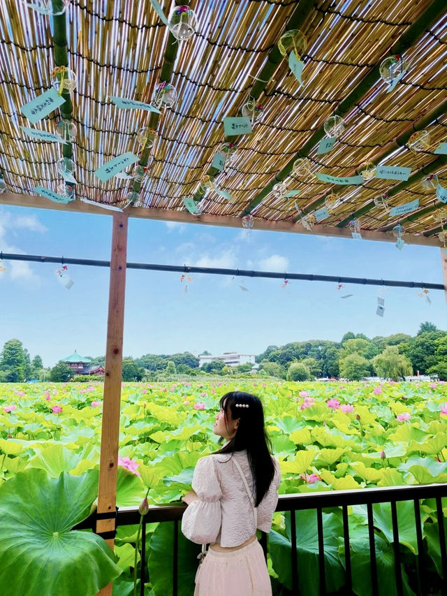 Ueno Park: A Cultural Stroll Through Tokyo’s Green Heart