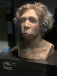 The Wounded Healer: Museum Island’s Resilient Heart