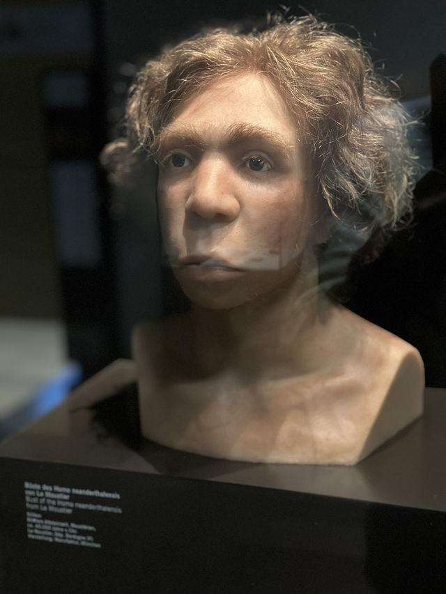 The Wounded Healer: Museum Island’s Resilient Heart