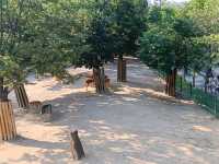 都市綠洲，首爾林的自然公園。