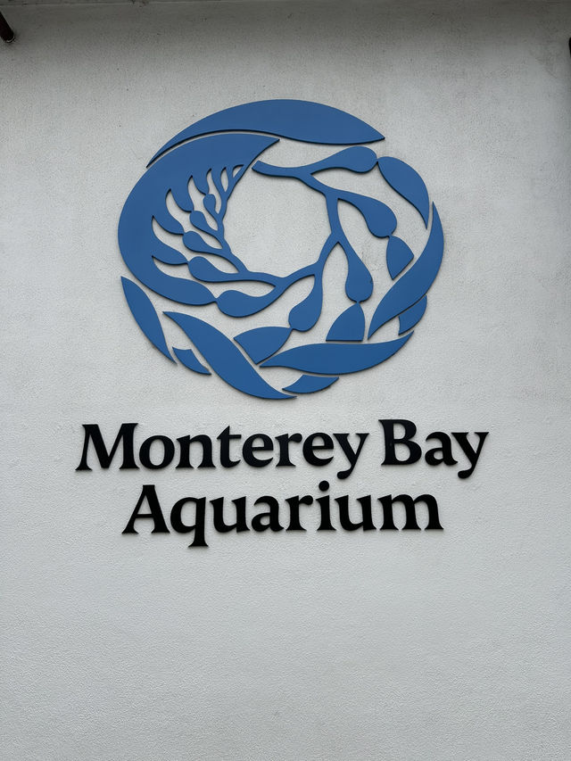 海底總動員取景靈感 | Monterey Bay Aquarium 蒙特雷灣水族館🐟