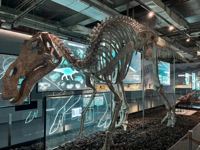 Xiamen Science and Technology Museum 🏛️