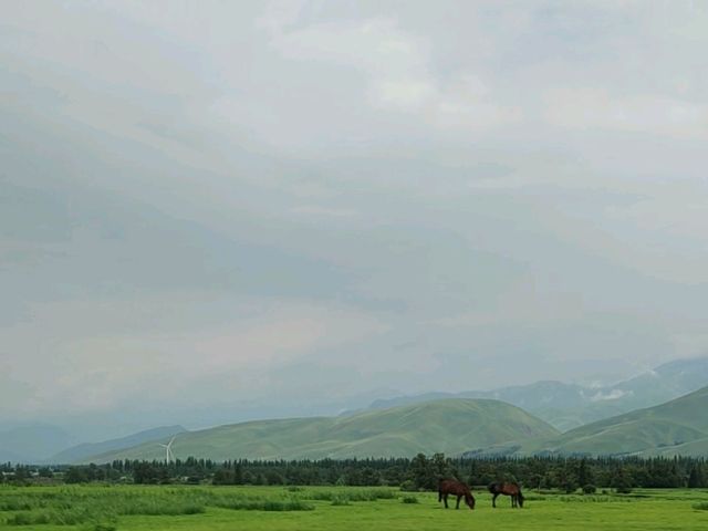 Nalati Jinling Resort：Grassland Expanse, Spirits Soar