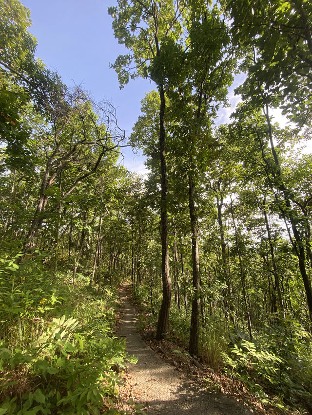 จุดชมวิวผาแดง ดอยกาน อำเภอบ้านโฮ่ง จังหวัดลำพูน