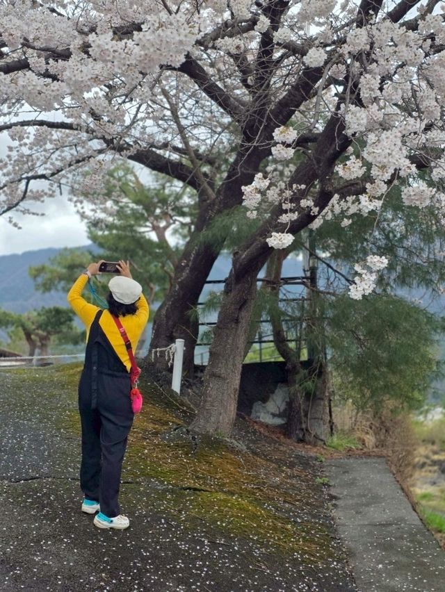 ปิกนิกริมทะเลสาบที่ Wakakusa-no-yado Maruei Hotel