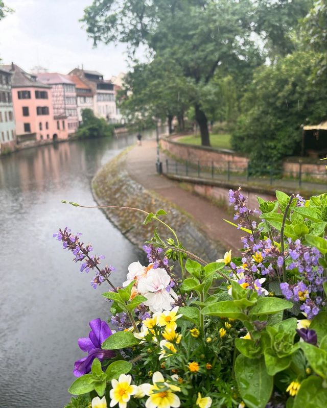 Paris and Strasbourg Moments