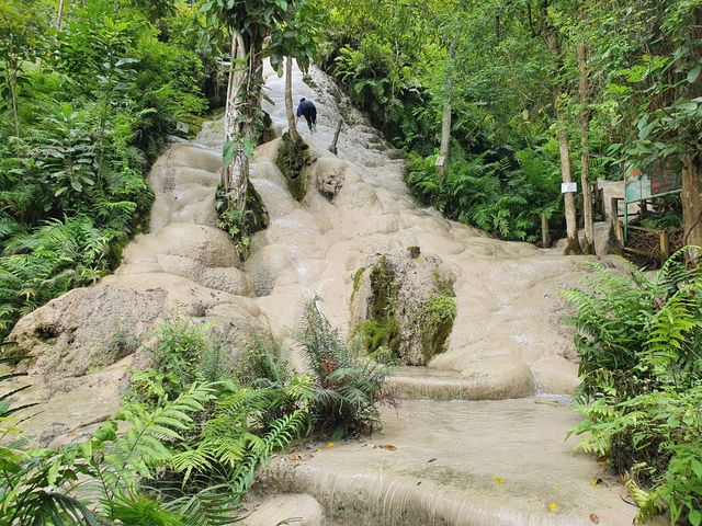 Bangkok and Chiang Mai Moments