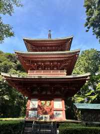 【静岡】 山全体が霊域 緑に癒され静岡最古の塔も・・