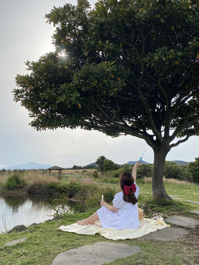 제주 비밀 인생샷 스팟
