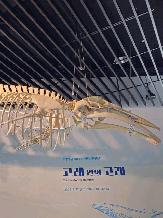 인천 놀거리 많은 관광지