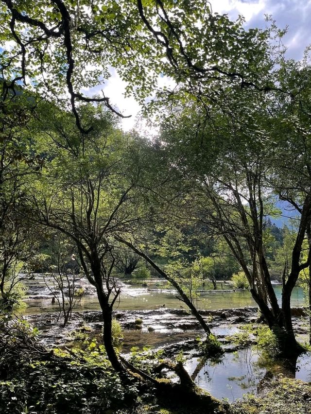Huanglong Scenic Area