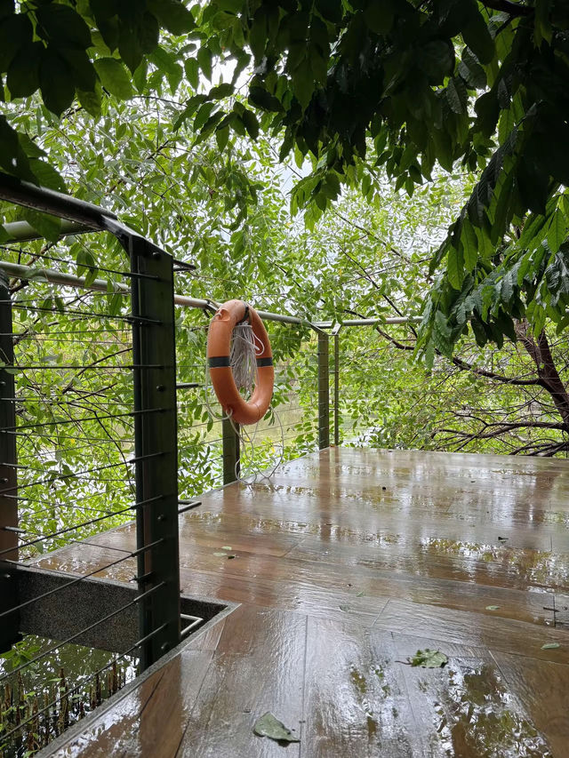 สวนดอกไม้เมืองหนาวระยอง PTTLNG