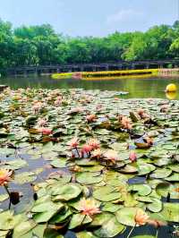 Xixi National Wetland Park – China’s Venice of Reeds & Waterways