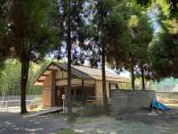 熊本・水前寺成趣園：從信仰到歷史的文化散策園地