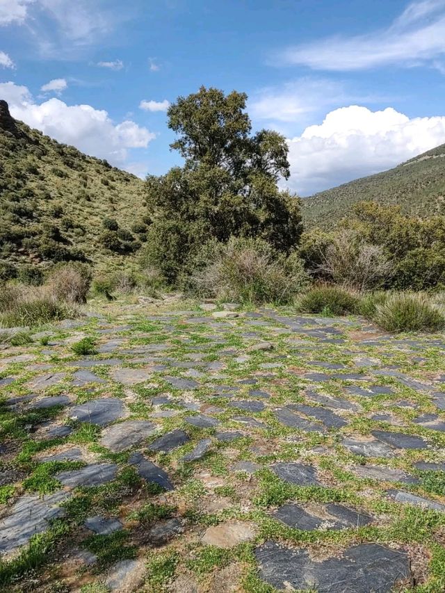 Unexpected Trails and Epic Views in Fiñana