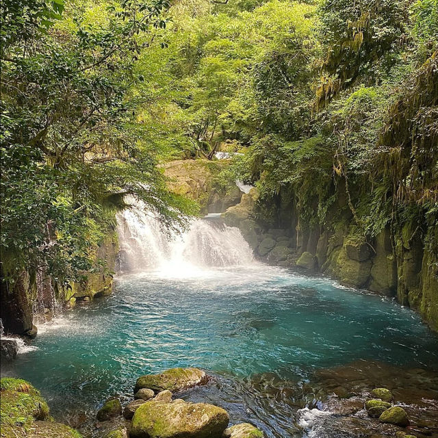 【菊池渓谷】清流と緑に包まれる、熊本の癒しの森🌲💧