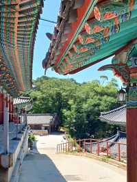 팔만대장경의 고장, 천년고찰 해인사