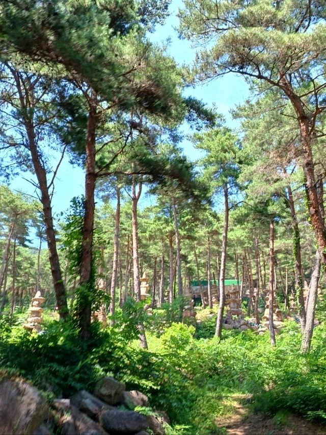 사진으로도 담기 어려운 감동