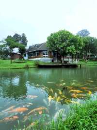 หน้าฝนกับหมู่บ้านอิต่องปิล็อค กาญจนบุรี