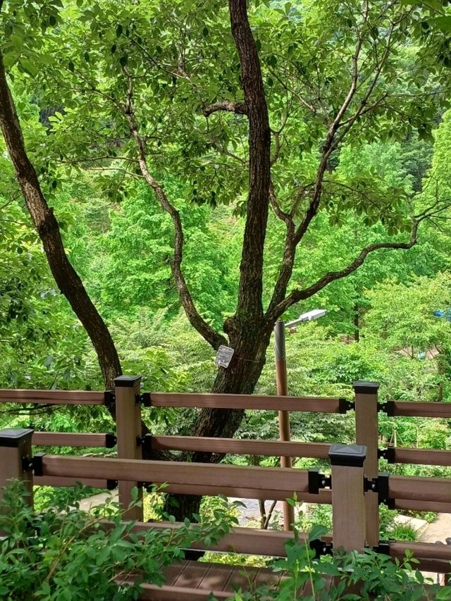 일상의 스트레스를 날려주는 힐링 코스