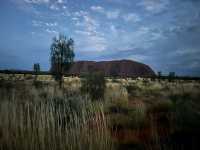 Uluru's night sky