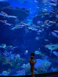 Sea Life Bangkok Ocean World จ.กรุงเทพฯ