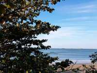 Itinerary for a meaningful 1-day trip to Vung Tau for you