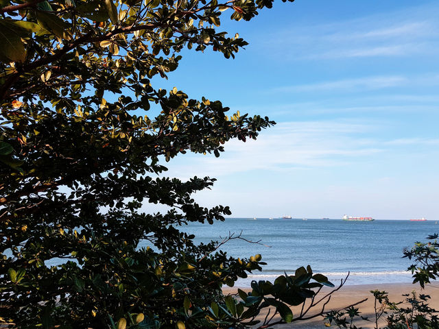 Itinerary for a meaningful 1-day trip to Vung Tau for you