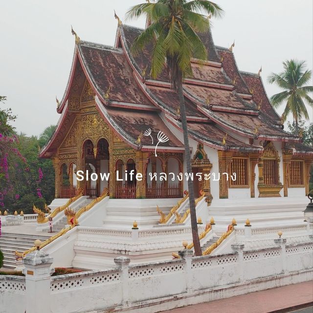Slow life หลวงพระบาง  vs  Adventure วังเวียง ลาว