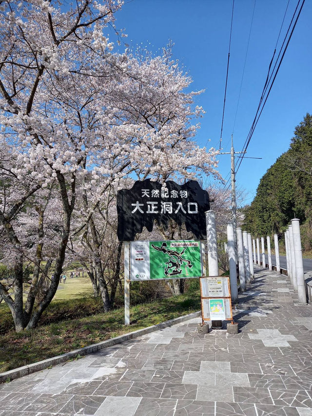  🕯️大正洞｜自然が創り出した地底の芸術！静寂に包まれる神秘の洞窟