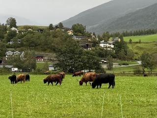 The Village in the Picture, Flåm, Norway
