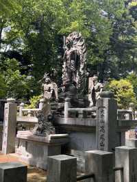 Mount Takao is the perfect half‑day escape: blend nature, culture, and light adventure