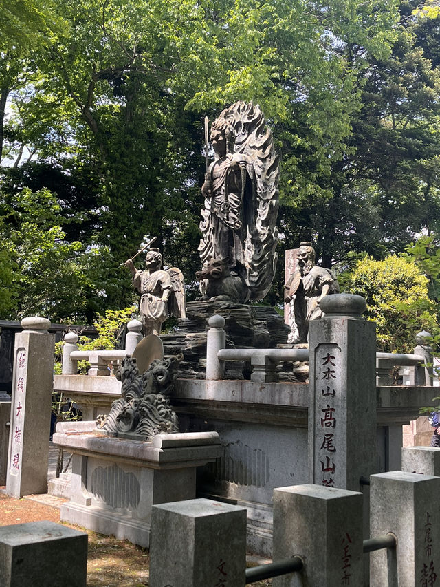 Mount Takao is the perfect half‑day escape: blend nature, culture, and light adventure