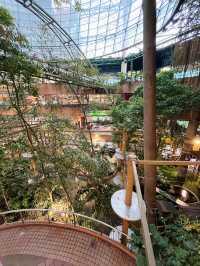 マレーシア初！都会の中の森カフェ体験🌿1 Utamaのレインフォレスト
