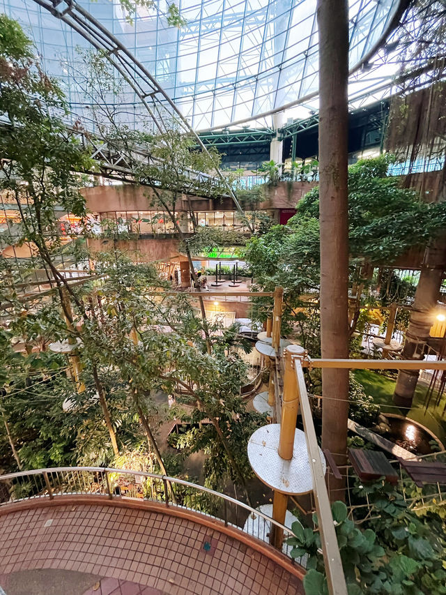 マレーシア初！都会の中の森カフェ体験🌿1 Utamaのレインフォレスト