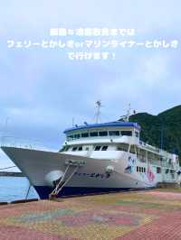 【渡嘉敷島】那覇から約1時間で気軽に行ける離島へ！🏝️