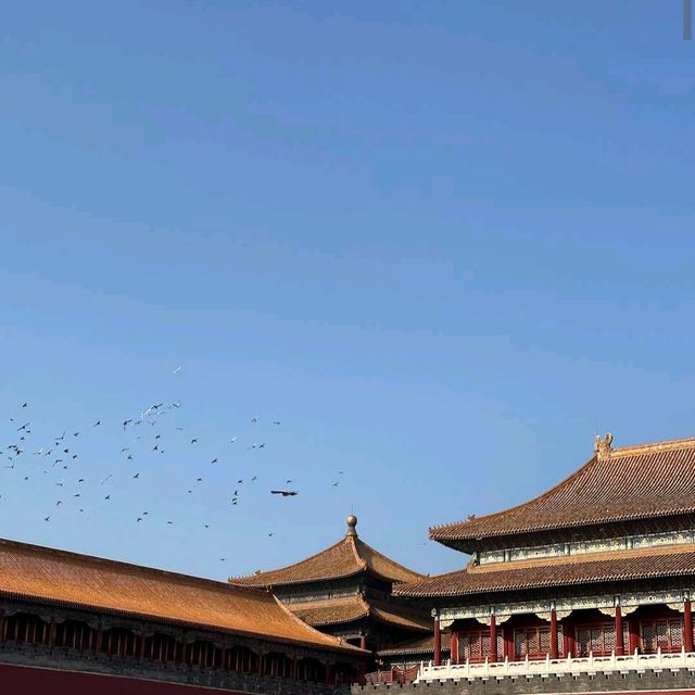 Forbidden City (Beijing)